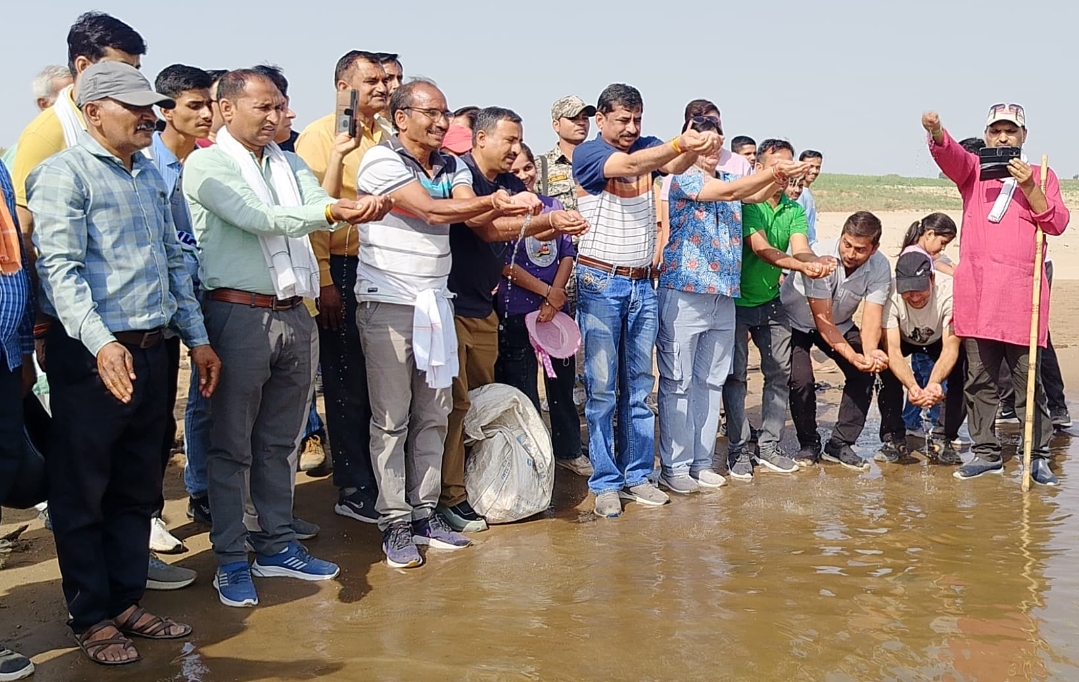 प्रकृति के पोषण में जल संरक्षण की अहम भूमिका,– कलेक्टर प्रकृति के पोषण में जल संरक्षण की अहम भूमिका,– कलेक्टर